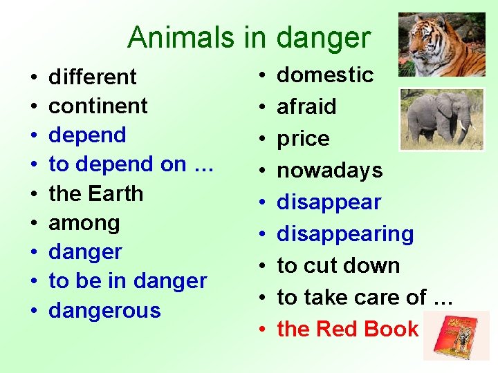 Animals in danger • • • different continent depend to depend on … the