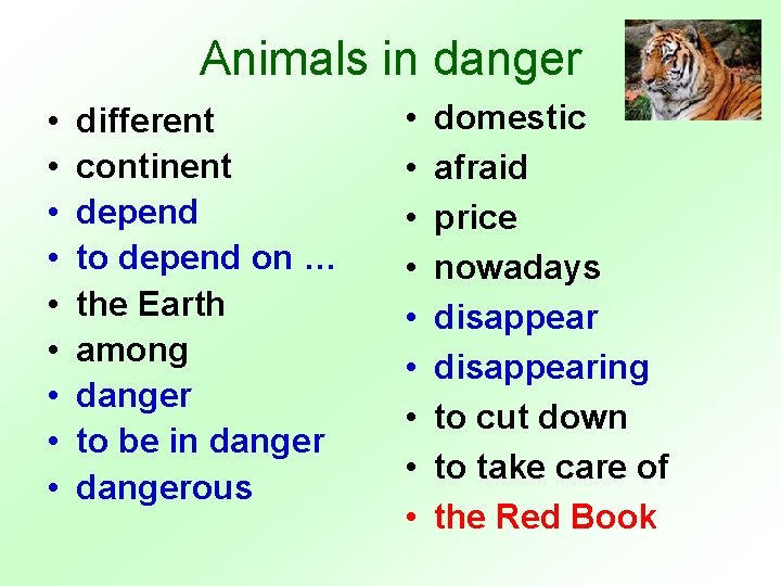 Animals in danger • • • different continent depend to depend on … the