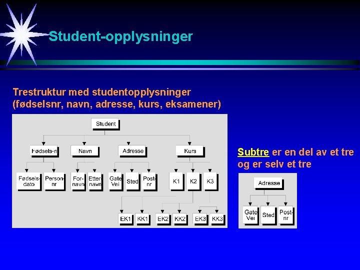 Student-opplysninger Trestruktur med studentopplysninger (fødselsnr, navn, adresse, kurs, eksamener) Subtre er en del av