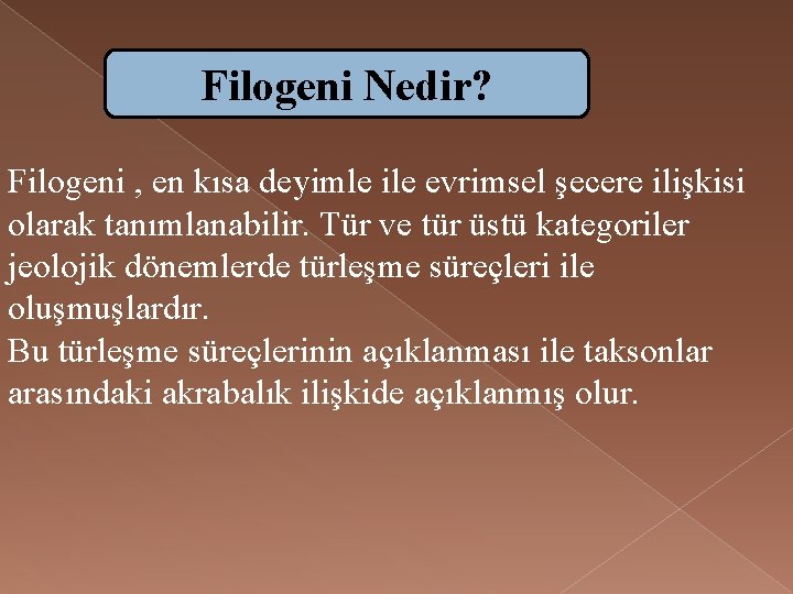 Filogeni Nedir? Filogeni , en kısa deyimle ile evrimsel şecere ilişkisi olarak tanımlanabilir. Tür