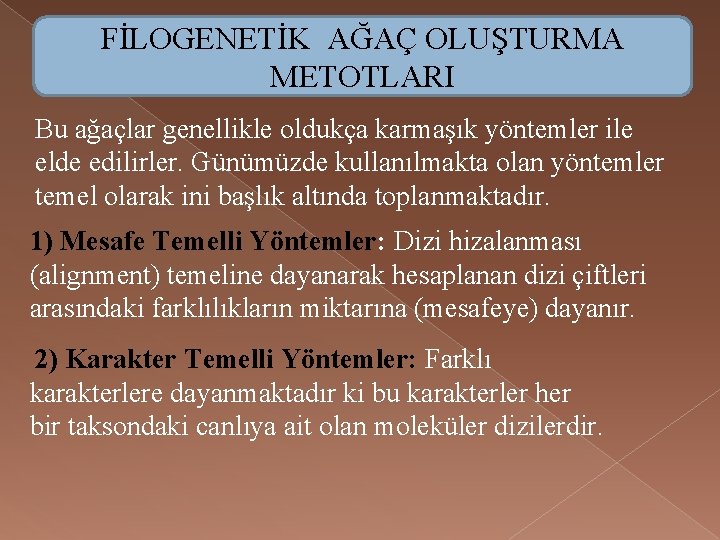 FİLOGENETİK AĞAÇ OLUŞTURMA METOTLARI Bu ağaçlar genellikle oldukça karmaşık yöntemler ile elde edilirler. Günümüzde