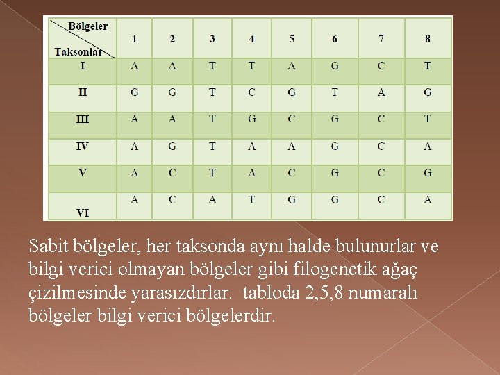 Sabit bölgeler, her taksonda aynı halde bulunurlar ve bilgi verici olmayan bölgeler gibi filogenetik