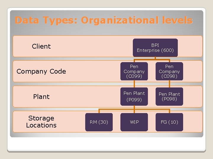 Data Types: Organizational levels Client BPI Enterprise (600) Company Code Pen Company (C 099)