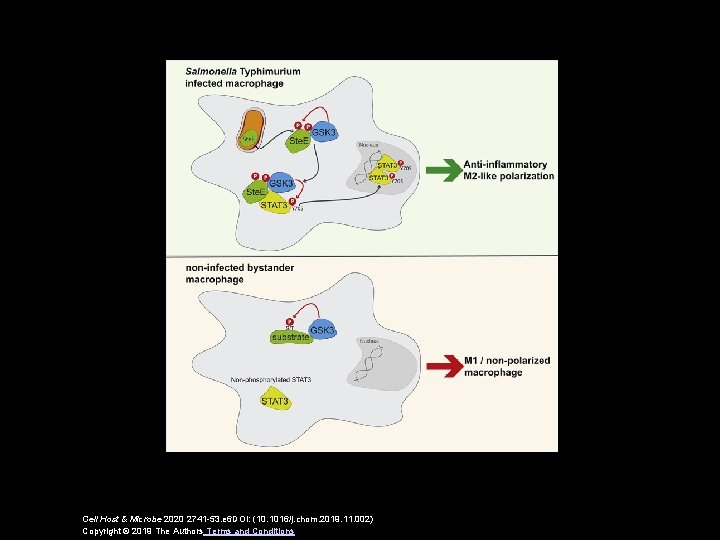 Cell Host & Microbe 2020 2741 -53. e 6 DOI: (10. 1016/j. chom. 2019.