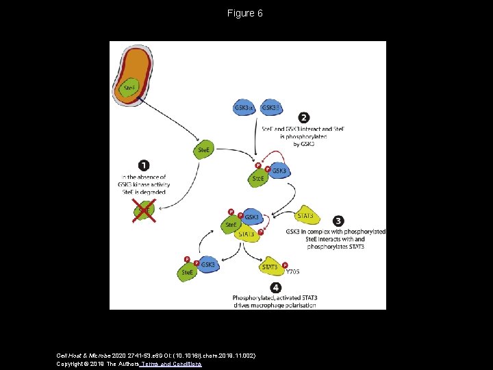 Figure 6 Cell Host & Microbe 2020 2741 -53. e 6 DOI: (10. 1016/j.
