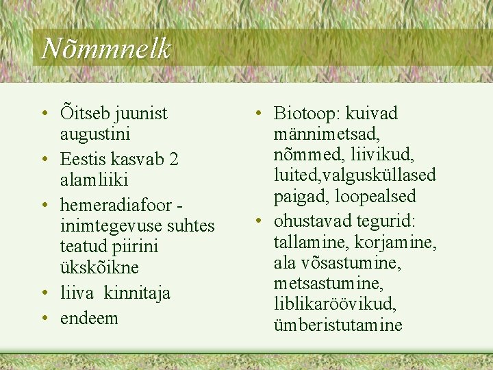 Nõmmnelk • Õitseb juunist augustini • Eestis kasvab 2 alamliiki • hemeradiafoor inimtegevuse suhtes
