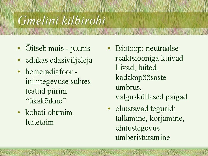 Gmelini kilbirohi • Õitseb mais - juunis • edukas edasiviljeleja • hemeradiafoor inimtegevuse suhtes