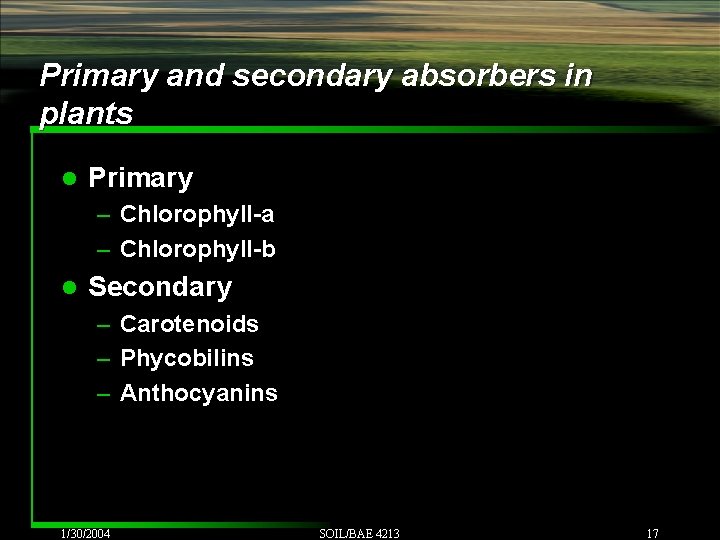 Primary and secondary absorbers in plants l Primary – Chlorophyll-a – Chlorophyll-b l Secondary Primary and secondary absorbers in plants l Primary – Chlorophyll-a – Chlorophyll-b l Secondary