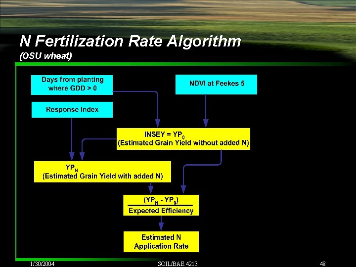 N Fertilization Rate Algorithm (OSU wheat) 1/30/2004 SOIL/BAE 4213 48 N Fertilization Rate Algorithm (OSU wheat) 1/30/2004 SOIL/BAE 4213 48