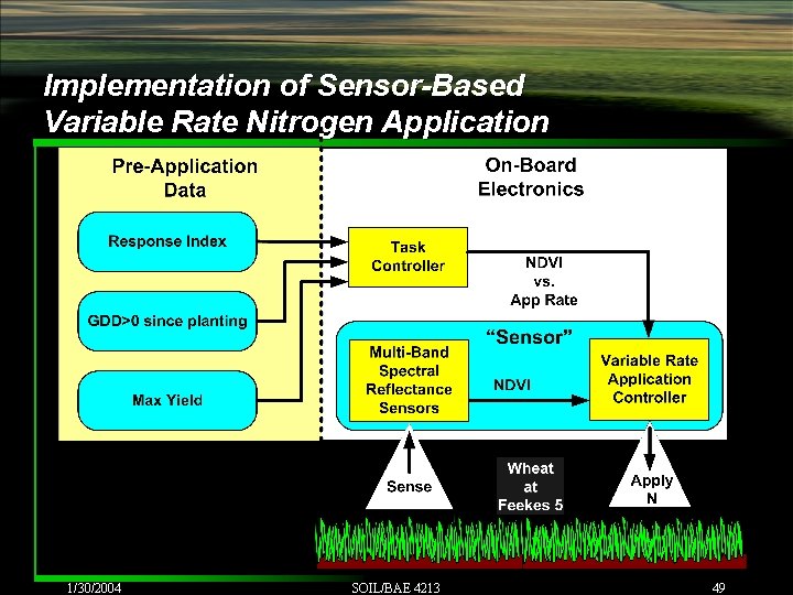 Implementation of Sensor-Based Variable Rate Nitrogen Application 1/30/2004 SOIL/BAE 4213 49 