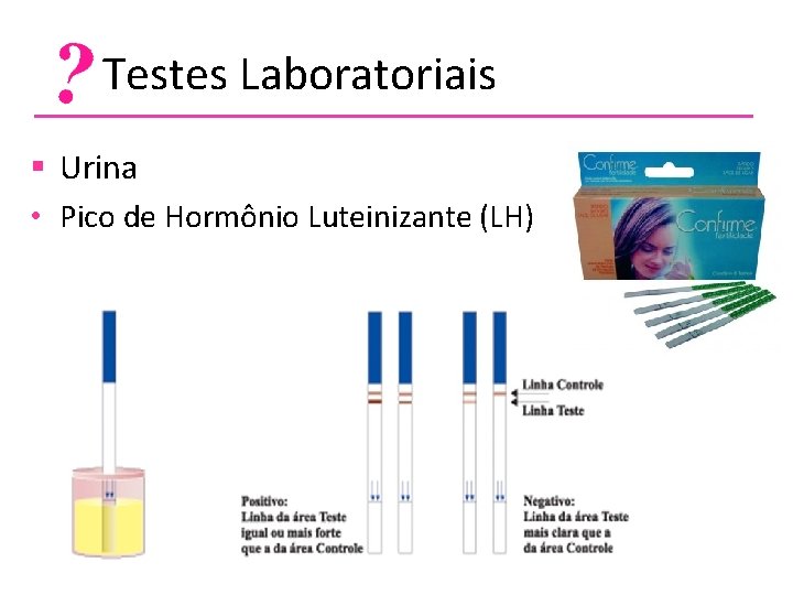  Testes Laboratoriais § Urina • Pico de Hormônio Luteinizante (LH) 