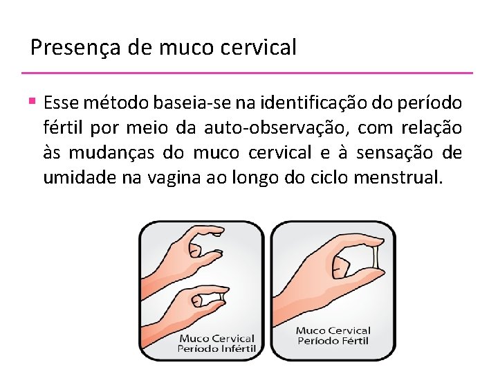 Presença de muco cervical § Esse método baseia-se na identificação do período fértil por