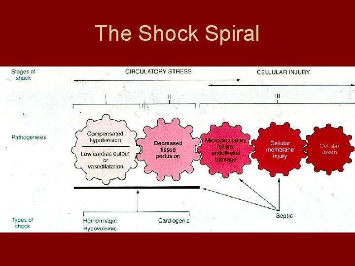 The Shock Spiral 