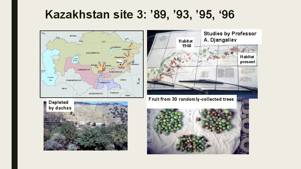 Kazakhstan site 3: ’ 89, ’ 93, ’ 95, ‘ 96 Habitat 1940 Studies