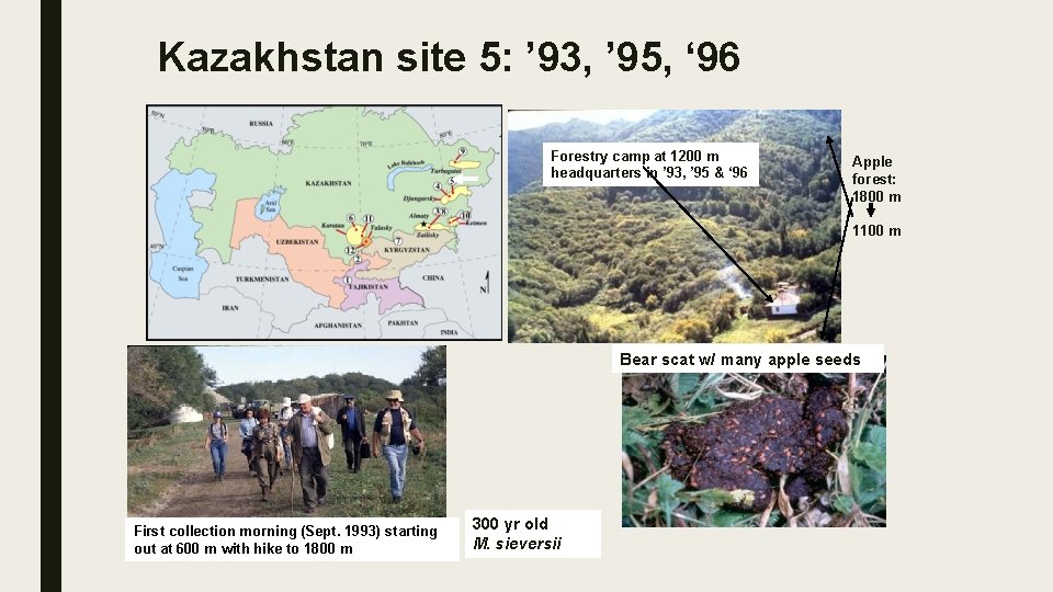 Kazakhstan site 5: ’ 93, ’ 95, ‘ 96 Forestry camp at 1200 m