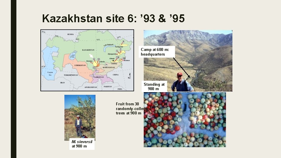 Kazakhstan site 6: ’ 93 & ’ 95 Camp at 600 m: headquarters Standing