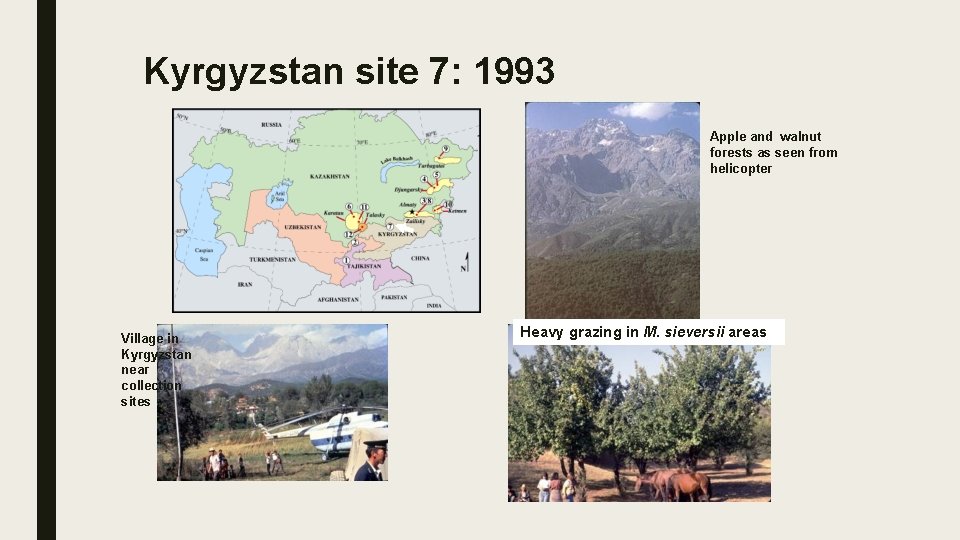 Kyrgyzstan site 7: 1993 Apple and walnut forests as seen from helicopter Village in