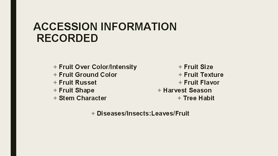 ACCESSION INFORMATION RECORDED + Fruit Over Color/Intensity + Fruit Ground Color + Fruit Russet