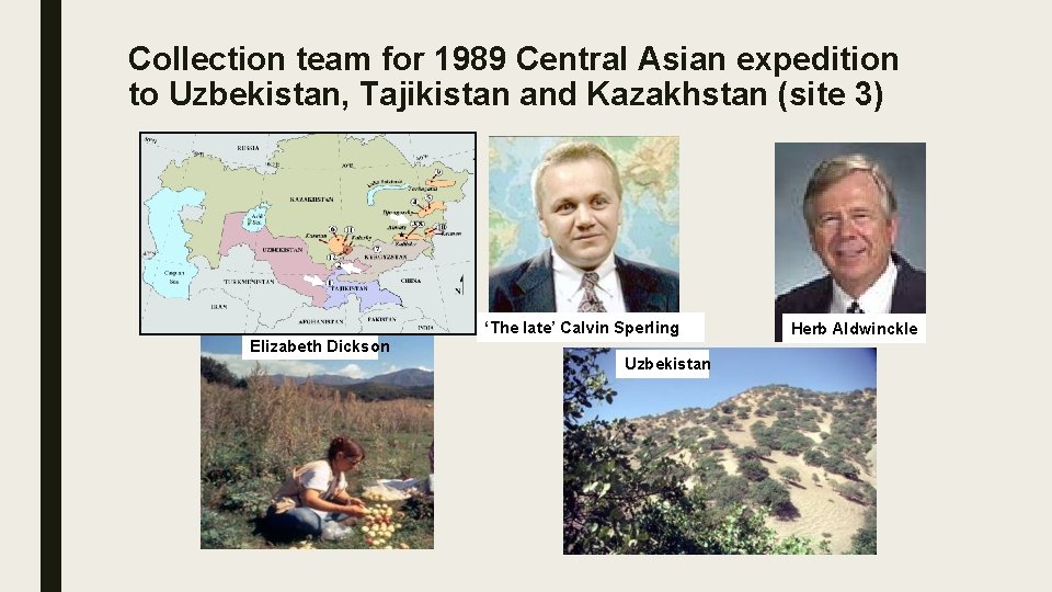 Collection team for 1989 Central Asian expedition to Uzbekistan, Tajikistan and Kazakhstan (site 3)