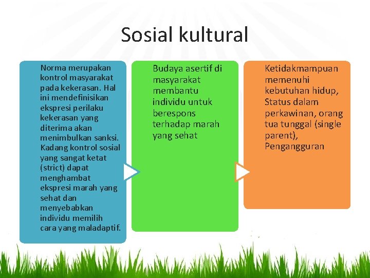 Sosial kultural Norma merupakan kontrol masyarakat pada kekerasan. Hal ini mendefinisikan ekspresi perilaku kekerasan