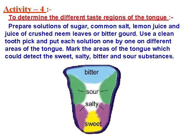 Activity – 4 : To determine the different taste regions of the tongue :