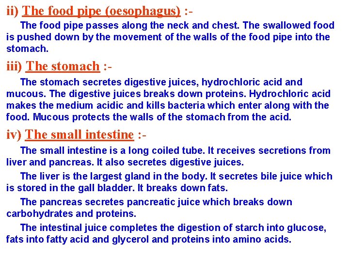 ii) The food pipe (oesophagus) : The food pipe passes along the neck and