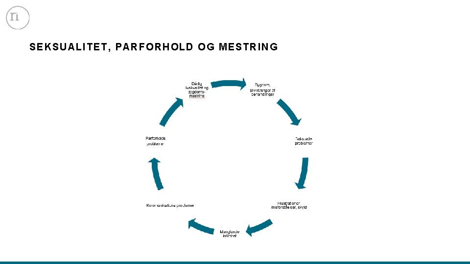 SEKSUAL ITET, PARFORHOLD OG MESTRING 