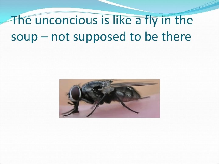 The unconcious is like a fly in the soup – not supposed to be