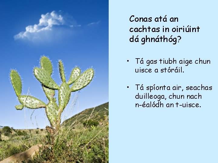 Conas atá an cachtas in oiriúint dá ghnáthóg? • Tá gas tiubh aige chun