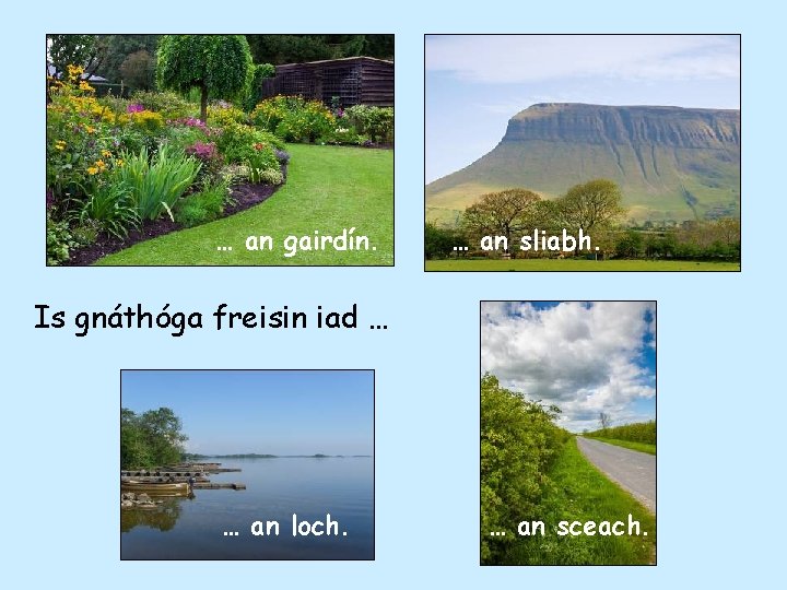 … an gairdín. … an sliabh. Is gnáthóga freisin iad … … an loch.