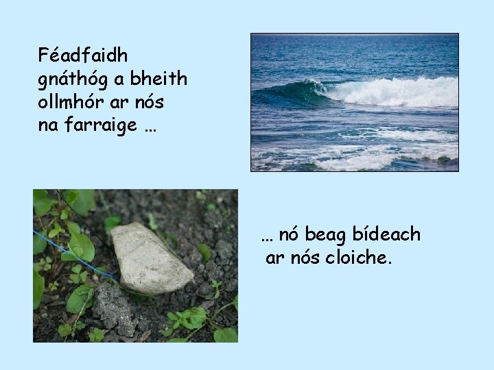 Féadfaidh gnáthóg a bheith ollmhór ar nós na farraige … … nó beag bídeach