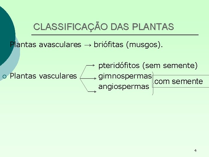 CLASSIFICAÇÃO DAS PLANTAS ¡ ¡ Plantas avasculares → briófitas (musgos). Plantas vasculares pteridófitos (sem