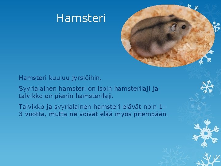 Hamsteri kuuluu jyrsiöihin. Syyrialainen hamsteri on isoin hamsterilaji ja talvikko on pienin hamsterilaji. Talvikko