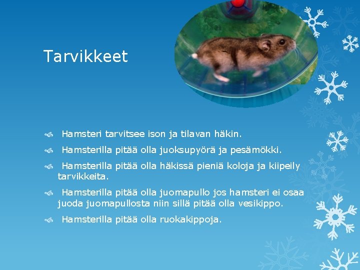 Tarvikkeet Hamsteri tarvitsee ison ja tilavan häkin. Hamsterilla pitää olla juoksupyörä ja pesämökki. Hamsterilla