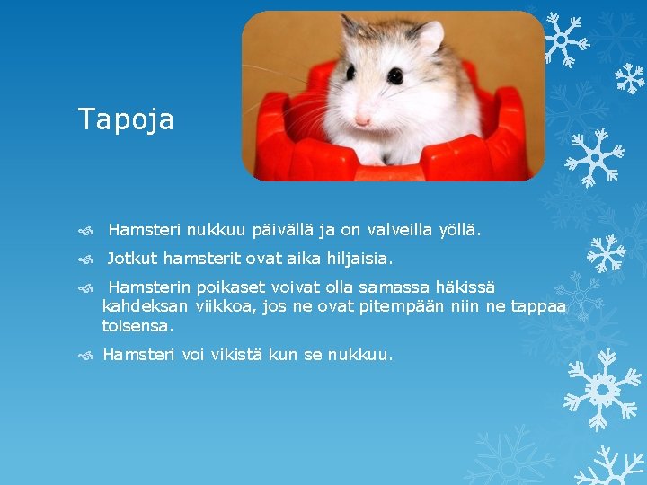 Tapoja Hamsteri nukkuu päivällä ja on valveilla yöllä. Jotkut hamsterit ovat aika hiljaisia. Hamsterin