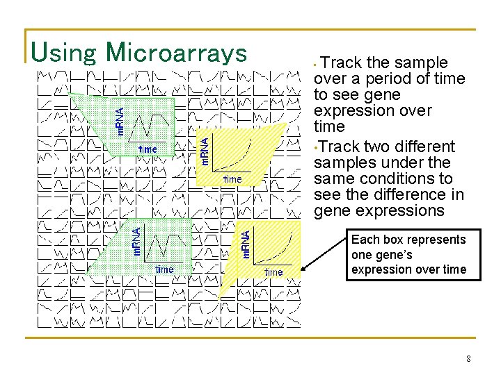 Using Microarrays Track the sample over a period of time to see gene expression