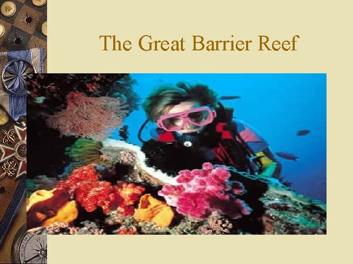 The Great Barrier Reef 