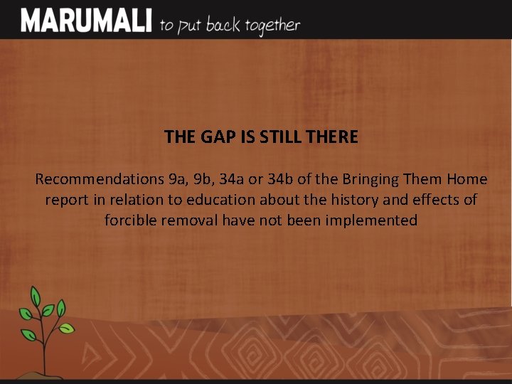 THE GAP IS STILL THERE Recommendations 9 a, 9 b, 34 a or 34