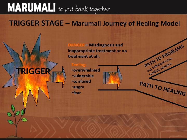 TRIGGER STAGE – Marumali Journey of Healing Model DANGER – Misdiagnosis and inappropriate treatment