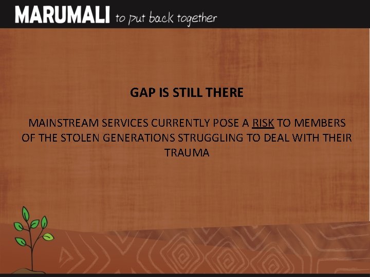 GAP IS STILL THERE MAINSTREAM SERVICES CURRENTLY POSE A RISK TO MEMBERS OF THE