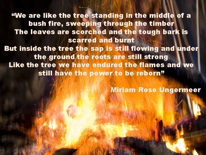 “We are like the tree standing in the middle of a bush fire, sweeping