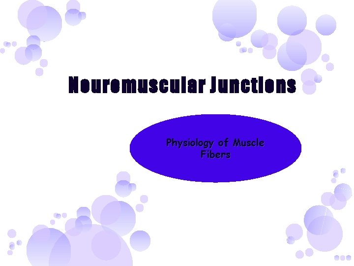 Neuromuscular Junctions Physiology of Muscle Fibers 