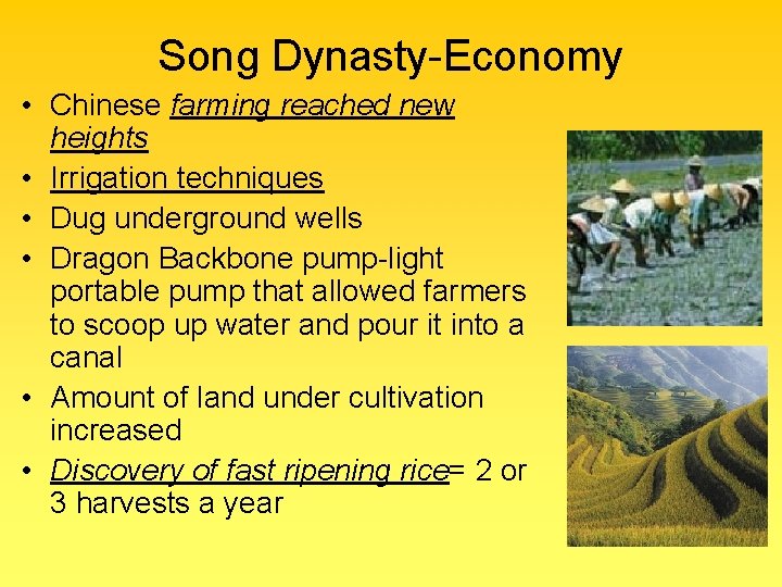 Song Dynasty-Economy • Chinese farming reached new heights • Irrigation techniques • Dug underground
