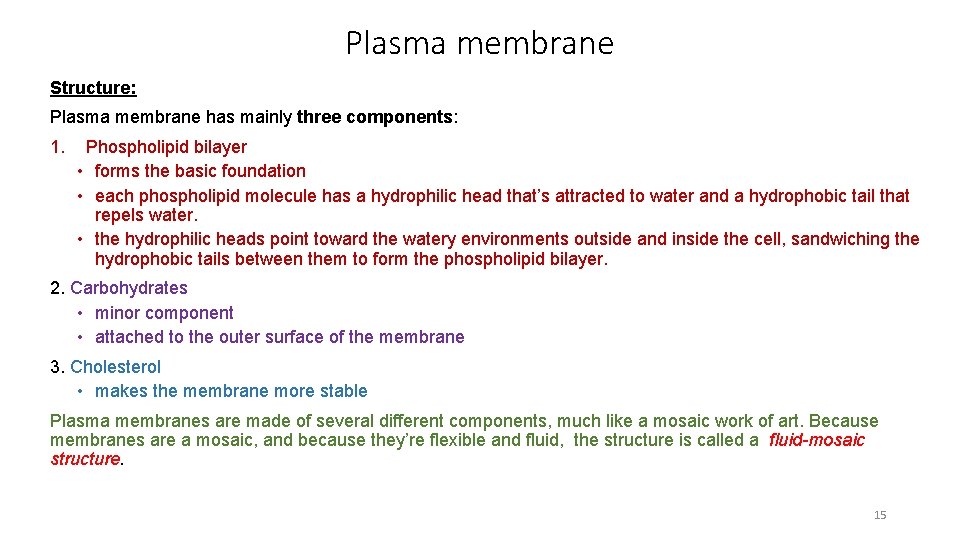 Plasma membrane Structure: Plasma membrane has mainly three components: 1. Phospholipid bilayer • forms