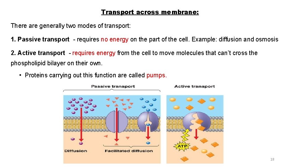 Transport across membrane: There are generally two modes of transport: 1. Passive transport -