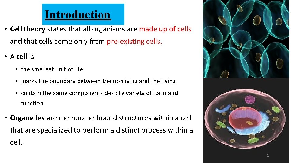 Introduction • Cell theory states that all organisms are made up of cells and