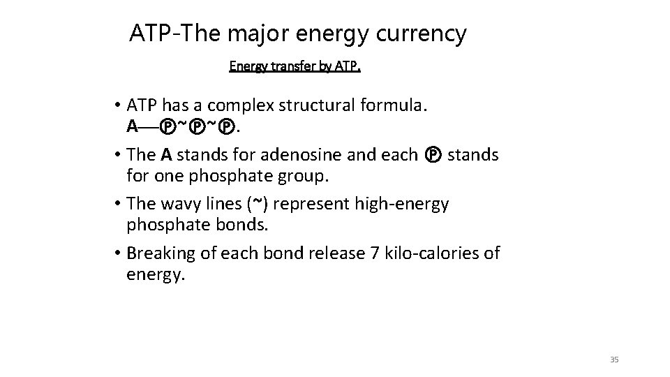 ATP-The major energy currency Energy transfer by ATP. • ATP has a complex structural