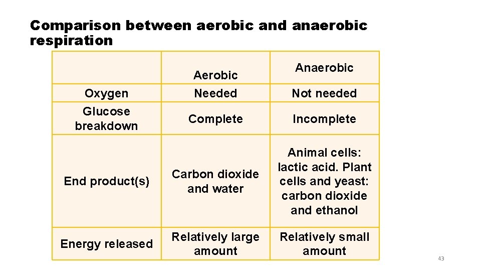 Comparison between aerobic and anaerobic respiration Aerobic Anaerobic Oxygen Needed Not needed Glucose breakdown