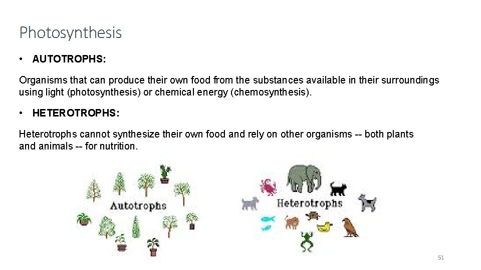 Photosynthesis • AUTOTROPHS: Organisms that can produce their own food from the substances available