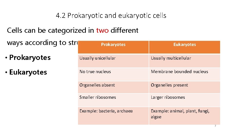 4. 2 Prokaryotic and eukaryotic cells Cells can be categorized in two different ways